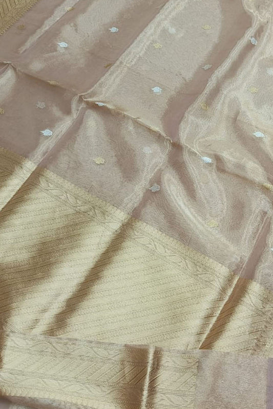 Exquisite Pastel Banarasi Tissue Silk Saree - Luxurion World